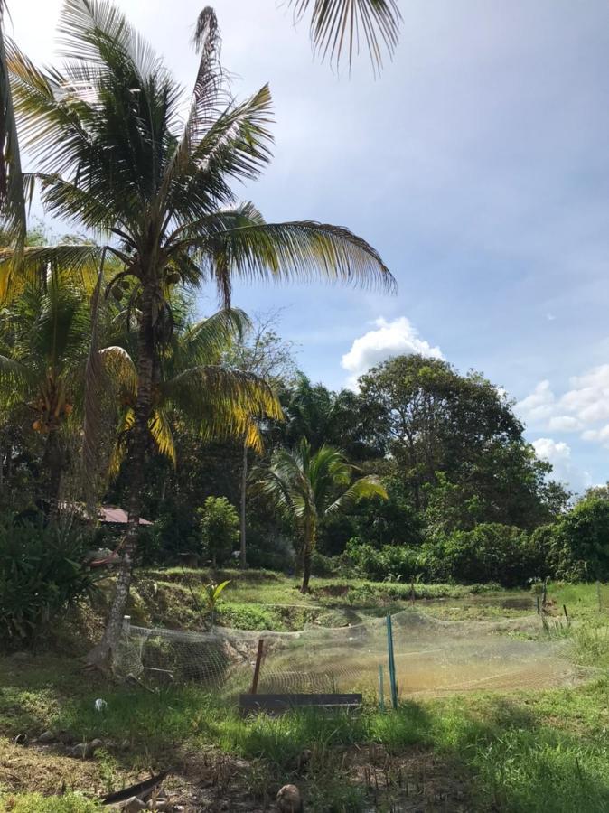 Homestay Bendang Hilir Kuala Nerang Esterno foto